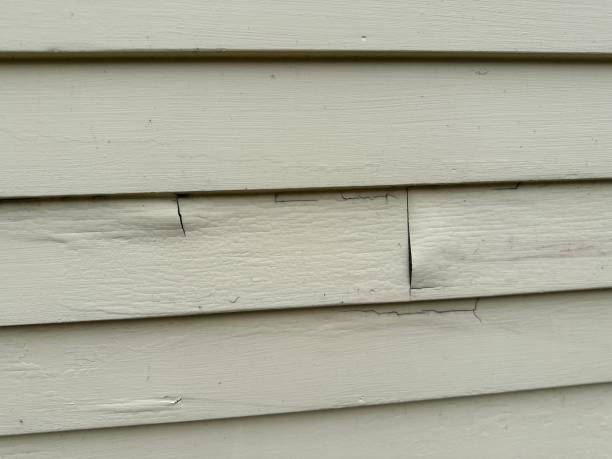 Best Custom Siding Design  in USA